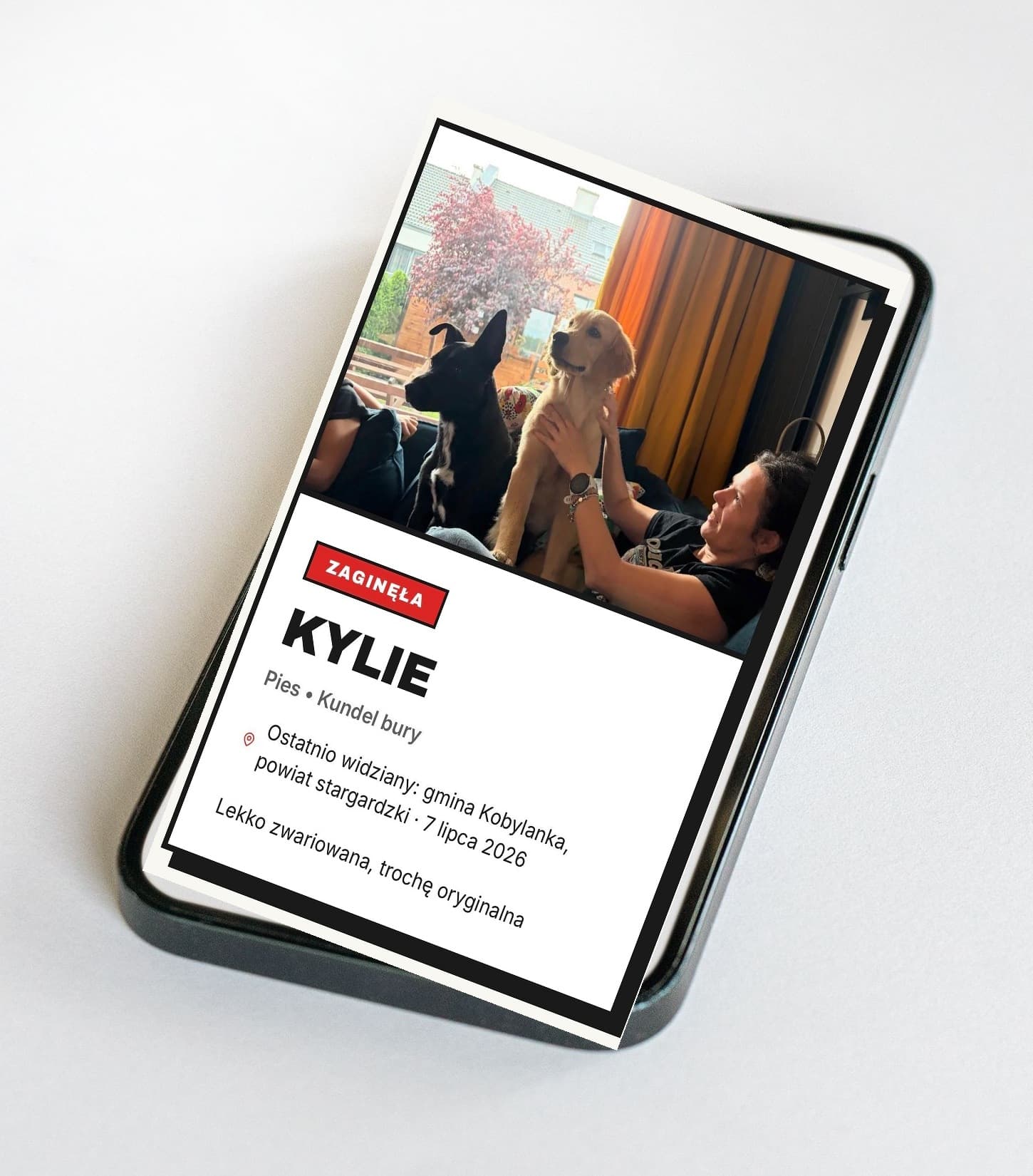 Przykładowy profil zaginionego psa Kylie, otwarty na telefonie po zeskanowaniu adresówki